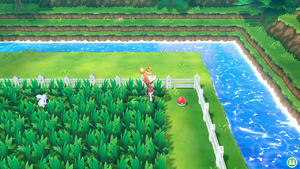 Route 10 Super Potion LGPE.png