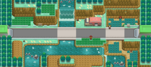 Route 11 N2B2.png