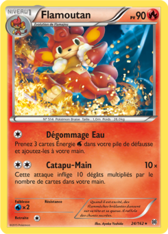 Flamoutan (XY Impulsion TURBO 24)