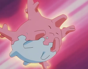 Corayon Voile Miroir.png