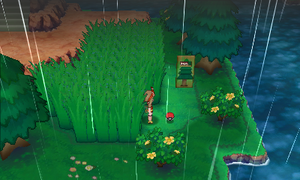 Route 119 Élixir ROSA.png