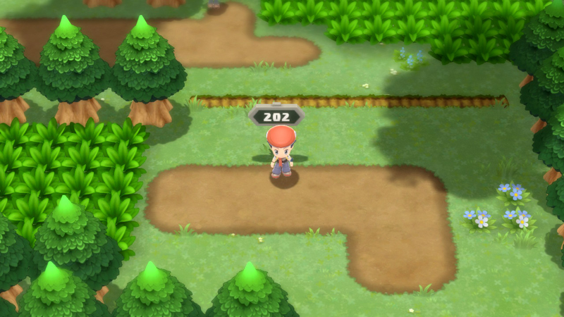 Fichier:Route 202 DEPS.png