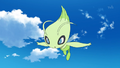 Celebi (sauvage)