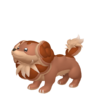 Dachsbun