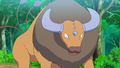 Tauros (d'Aïden)