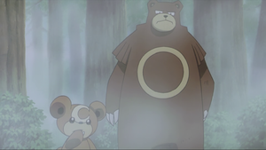 Film 04 - Teddiursa et Ursaring Sauvages.png