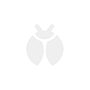 Médaille Scout Ombre - GO.png