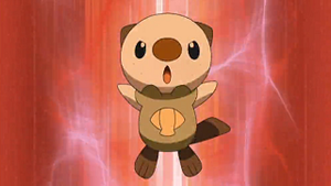 NB008 - Moustillon de Sacha.png