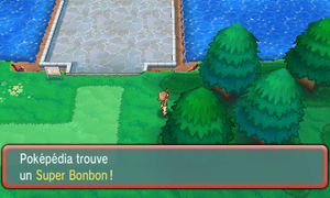 Route 123 Super Bonbon ROSA.png