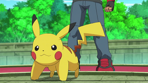 XY020 - Pikachu de Sacha.png