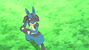 XY034 - Lucario de Cornélia (Flash-back).png