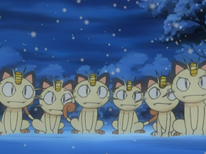 AG126 - Miaouss (Flash-back).png