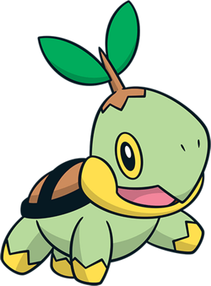 Tortipouss (2)-CA.png