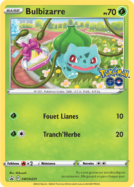Fichier:Carte Promo SWSH SWSH231.png