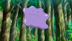 LV001 - Métamorph (Transformation).png