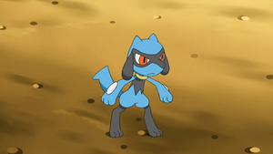 NB104 - Riolu d'Alexis.png