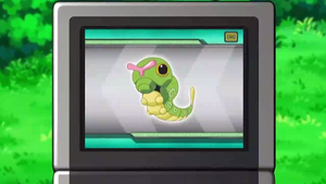 NB130 - Chenipan Pokédex.png