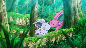 LV001 - Nidoran♀ et Nidoran♂ (Flash-back).png