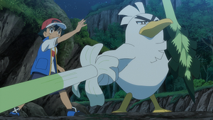 LV101 - Palarticho de Sacha.png