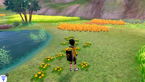 Taupiqueur d'Alola Lande Boldair 16 EB.png