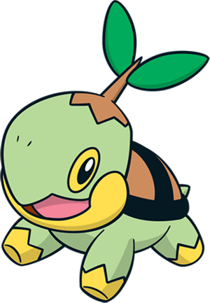 Tortipouss (3)-CA-v1.png