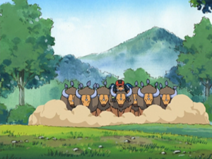 AG133 - Tauros de Sacha.png