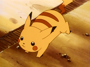 EP043 - Pikachu de Sacha.png