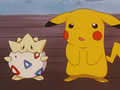 Togepi (d'Ondine) et Pikachu (de Sacha)