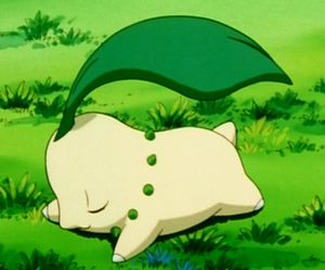 Germignon de Sacha.png