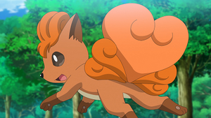 LV067 - Goupix d'un Dresseur.png