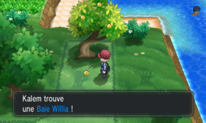 Route 12 Baie Willia XY.png