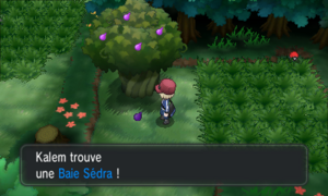 Route 20 Baie Sédra XY.png