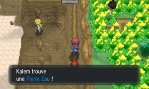 Route 8 Pierre Eau XY.png