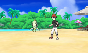 Studio Photo USUL - Arrière-plan 7.png