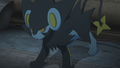 Luxray (de Lem)