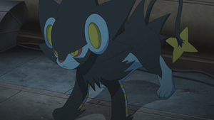 XY084 - Luxray de Lem.png
