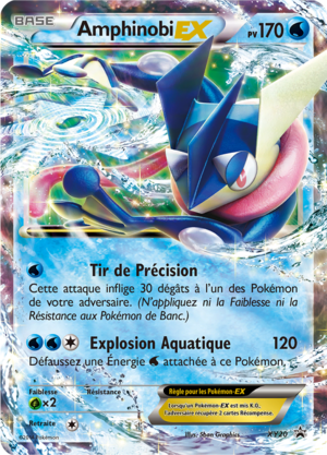 Carte Promo XY XY20.png