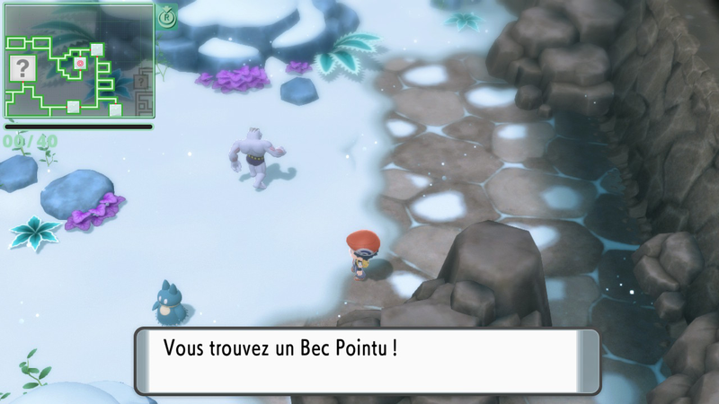 Fichier:Grotte du Blizzard Bec Pointu DEPS.png