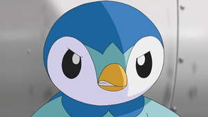 NB093 - Tiplouf d'Aurore.png