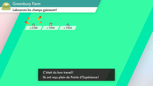 Poké Service Expérience EB.png