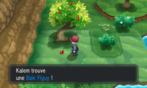 Route 21 Baie Figuy XY.png