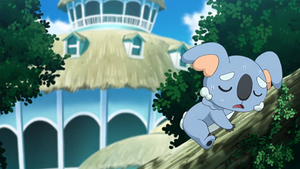 SL070 - Dodoala de Raphaël Chen.png