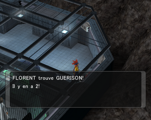 Île Ténébra Guérison XD.png