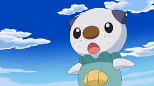 NB034 - Moustillon de Sacha.png