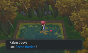 Route 14 Roche Humide XY.png