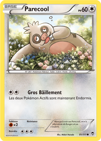 Fichier:Carte XY Poings Furieux 81.png