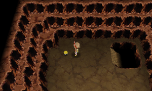 Grotte Zénith CT11 ROSA.png