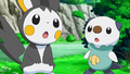 Emolga (d'Iris) et Moustillon (de Sacha)