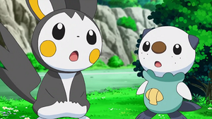 NB085 - Emolga d'Iris et Moustillon de Sacha.png
