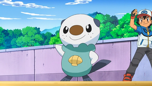 NB111 - Moustillon de Sacha.png